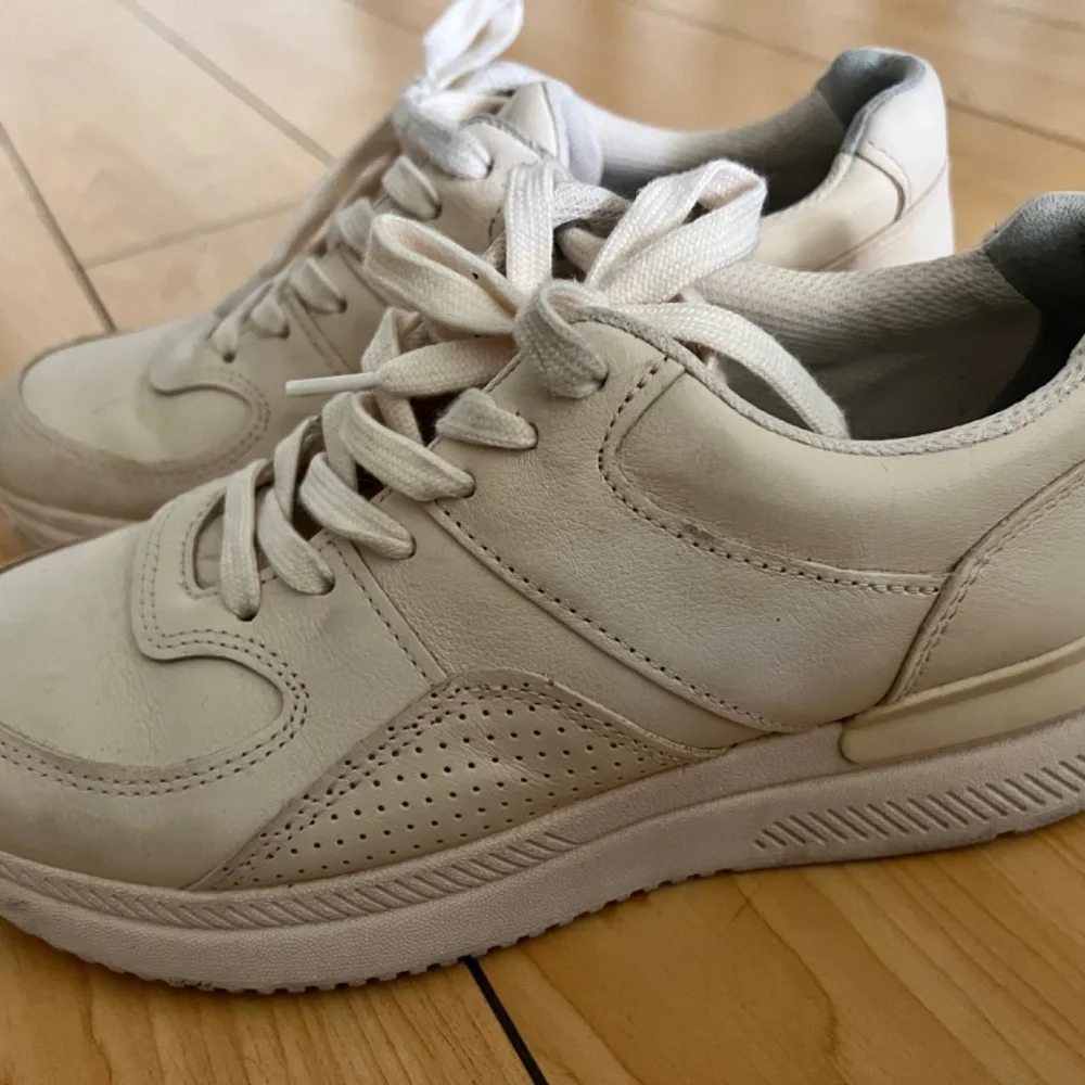 Everlane stylish neutral